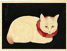 Takahashi Hiroaki, White Cat
