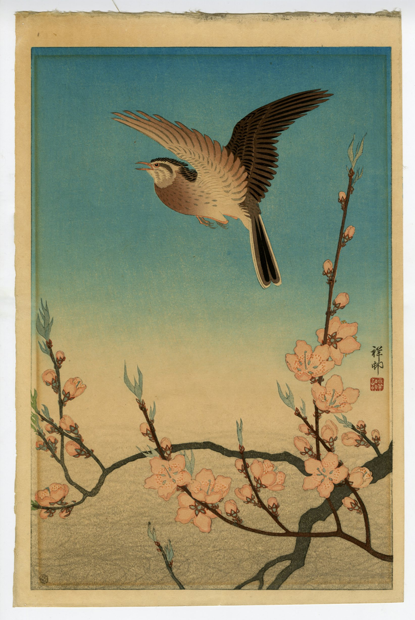 Ohara Koson (Shoson) - Skylark in Flight Above Blossoming Peach