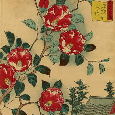 TOP - Ukiyoe Gallery SHUKADO