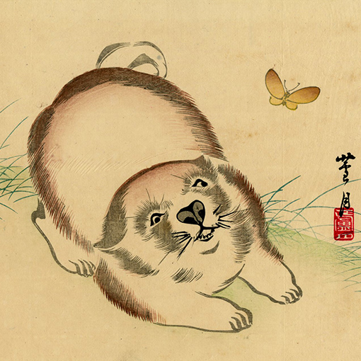 TOP - Ukiyoe Gallery SHUKADO
