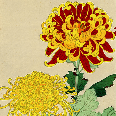 TOP - Ukiyoe Gallery SHUKADO