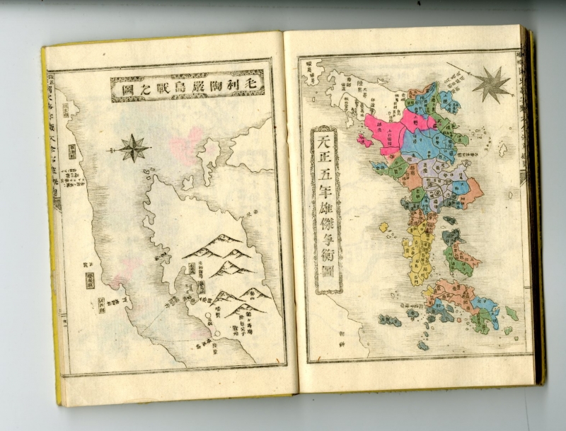 book Adapted Physical