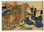 Гель для душа Shunga Морозная вишня, 250 мл 6502 SG - SHUNGA  - Косметика - Купить